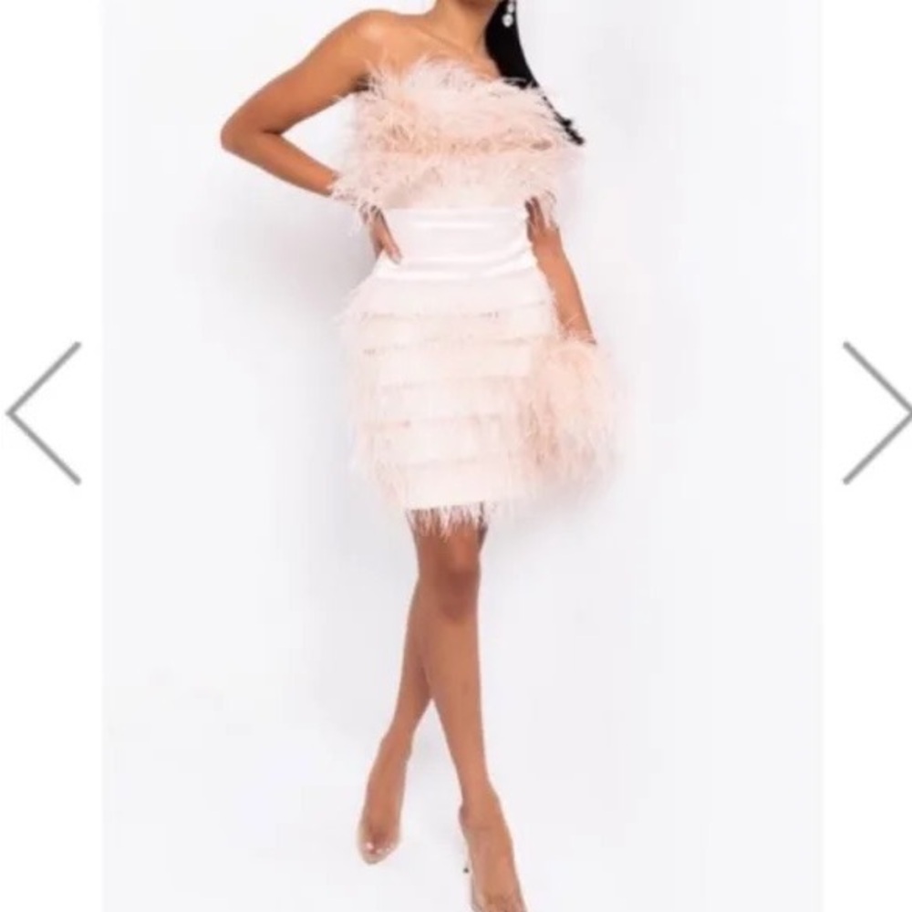 Akira feathers of love dress